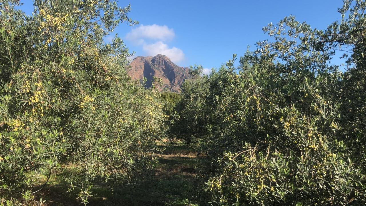 Su Cappeddu Agriturismo San Giorgio  エクステリア 写真
