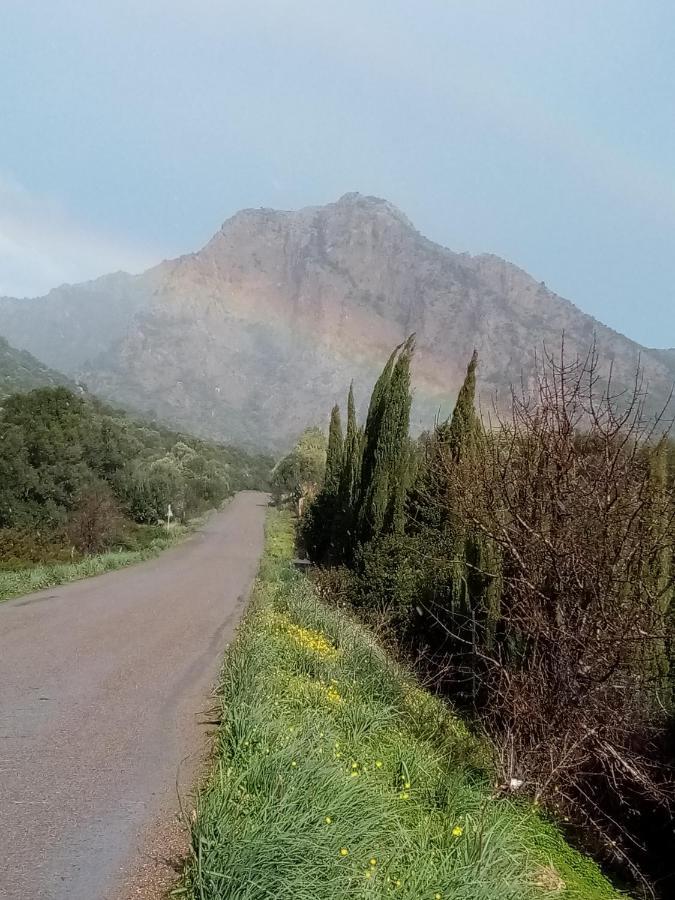 Su Cappeddu Agriturismo San Giorgio  エクステリア 写真